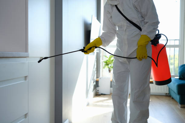 Best Mold Remediation Services  in Los Fresnos, TX